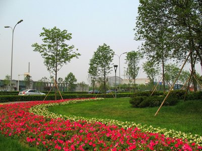 如何提高城市園林綠化施工質量?做到以下幾點