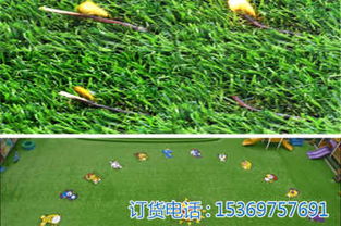 新聞 桂林永福人工草坪批發花壇綠化