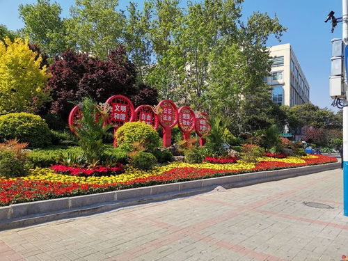 天橋區(qū)園林綠化服務(wù)中心 強(qiáng)化黨建引領(lǐng) 扮靚綠色天橋