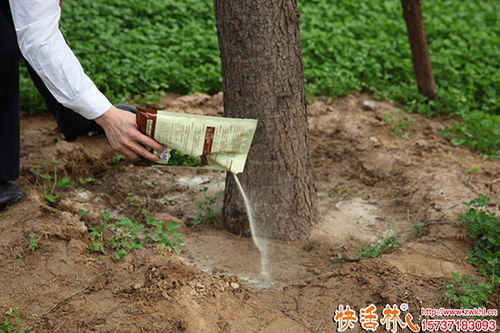 樹(shù)木移栽怎么用生根劑,樹(shù)木生根粉泡根要多久