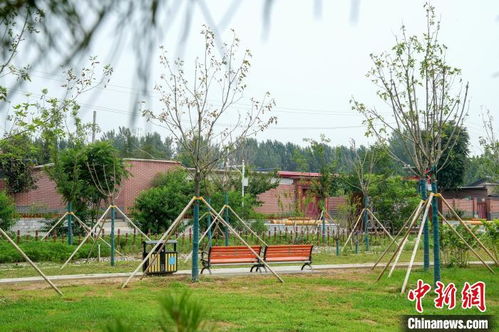 北京打造花園鄉(xiāng)村 兩鎮(zhèn)四村生態(tài)改造初步完成