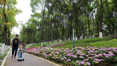 觀山湖區(qū) 昔日城市 邊角料 蝶變美好小公園