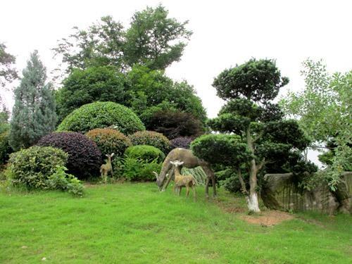 園林景觀工程中的園林花卉設(shè)計