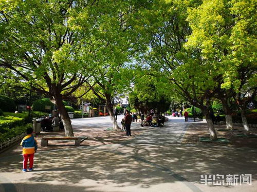 青島市推出 精品綠地 每周一賞 活動 邀市民領略綠化美景共享綠化成果