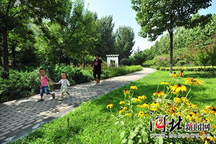 保定 今春開始園林綠化完成植樹432萬株