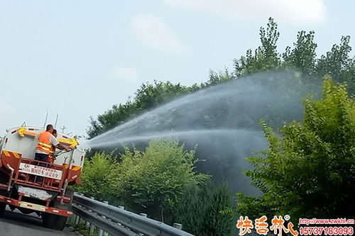 樹木容易失水怎么辦 抑制蒸騰劑用什么