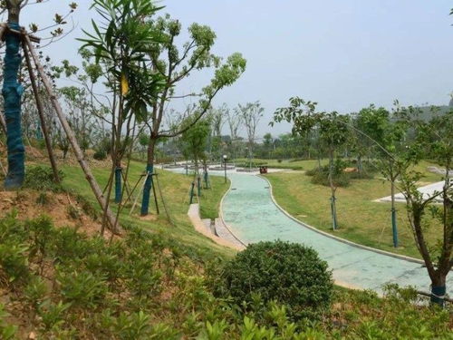 臺州市園林綠化工程公司優秀企業推薦
