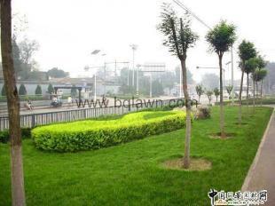 供應(yīng)園林綠化|上海園林綠化-上海涵清園林綠化公司_建筑建材_世界工廠網(wǎng)中國產(chǎn)品信息庫