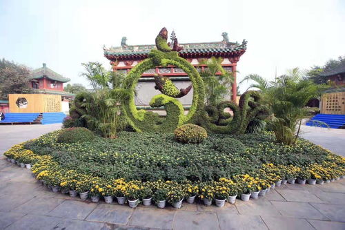 【景觀主題創(chuàng)意綠雕造型,春節(jié)創(chuàng)意植物雕塑造型制作】- 