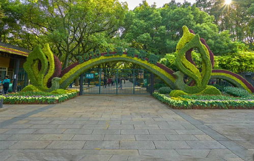 【綠雕造型廠家-真植物立體雕塑-四川真植物雕塑廠批發】- 